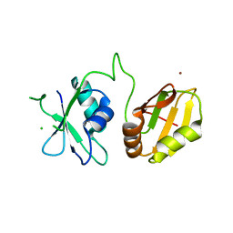 AU of 4cko by Molmil