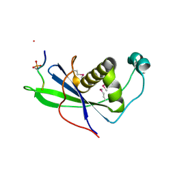 BU of 4ckt by Molmil