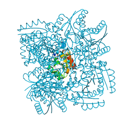 BU of 4cl0 by Molmil