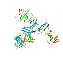 BU of 4cl1 by Molmil