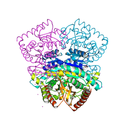 BU of 4cl3 by Molmil