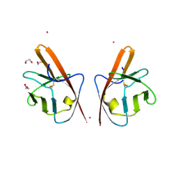 BU of 4cl7 by Molmil