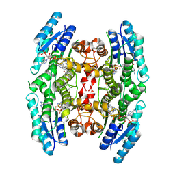 BU of 4cl8 by Molmil