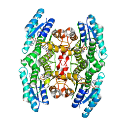 AU of 4cl8 by Molmil