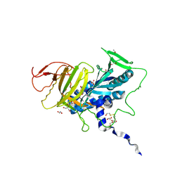 BU of 4cll by Molmil