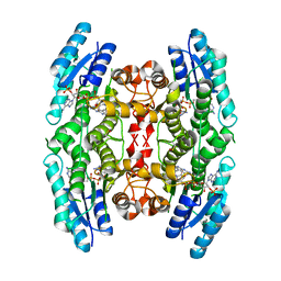 BU of 4clr by Molmil