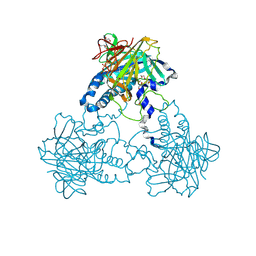 BU of 4clw by Molmil