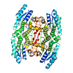 BU of 4clx by Molmil