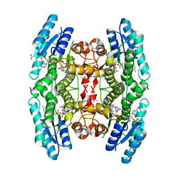 BU of 4cma by Molmil