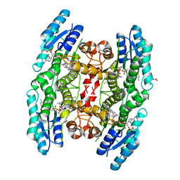 BU of 4cmg by Molmil