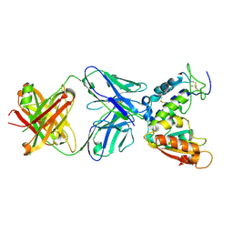 BU of 4cmh by Molmil