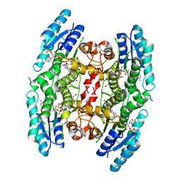 BU of 4cmi by Molmil