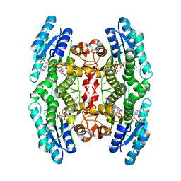 BU of 4cmj by Molmil