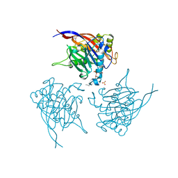 BU of 4cml by Molmil