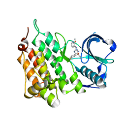 BU of 4cmo by Molmil