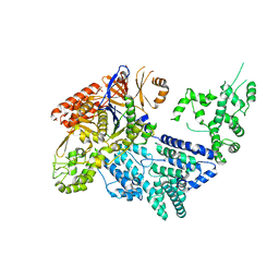 BU of 4cmq by Molmil