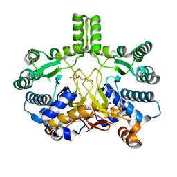 BU of 4cmw by Molmil