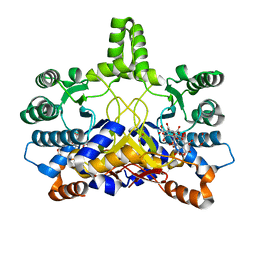 BU of 4cmx by Molmil