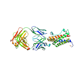 BU of 4cni by Molmil