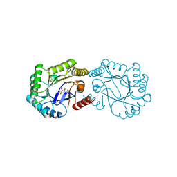 BU of 4cno by Molmil