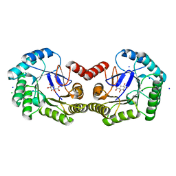 BU of 4cnp by Molmil