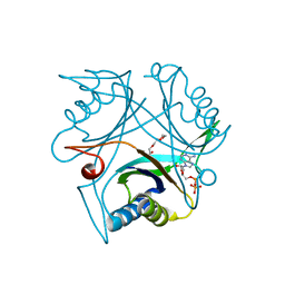 BU of 4co2 by Molmil