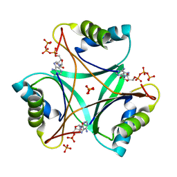 BU of 4co4 by Molmil