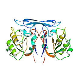 BU of 4cob by Molmil