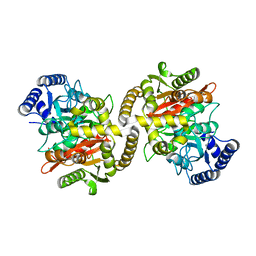 BU of 4cp8 by Molmil