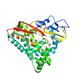 BU of 4cpp by Molmil