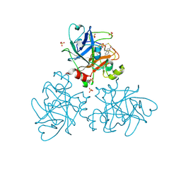 BU of 4cre by Molmil