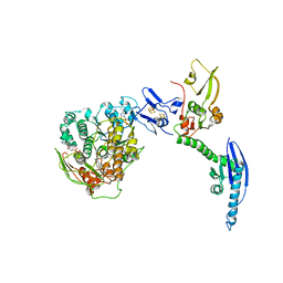 BU of 4crm by Molmil