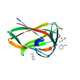 AU of 4crr by Molmil