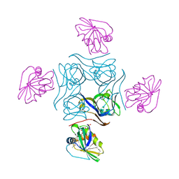 BU of 4cs0 by Molmil