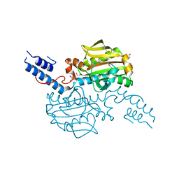 BU of 4cs2 by Molmil