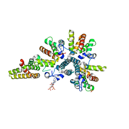 BU of 4cs9 by Molmil