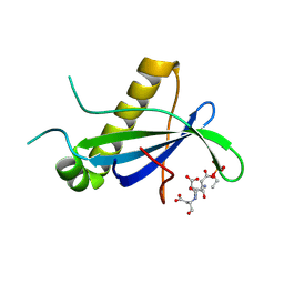 BU of 4cse by Molmil