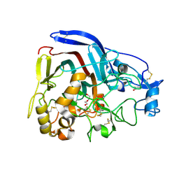 BU of 4csi by Molmil