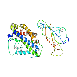 BU of 4csm by Molmil