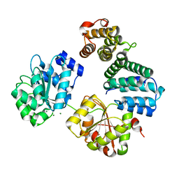 BU of 4ct4 by Molmil