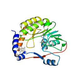 BU of 4ctk by Molmil