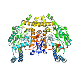 BU of 4ctp by Molmil