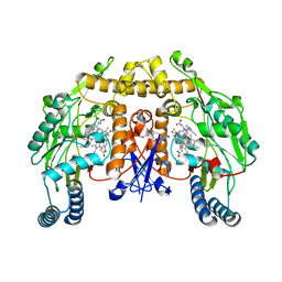 BU of 4ctt by Molmil