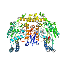 BU of 4ctx by Molmil