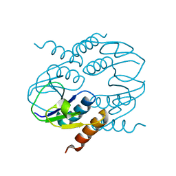 BU of 4cu2 by Molmil