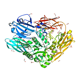 BU of 4cu6 by Molmil