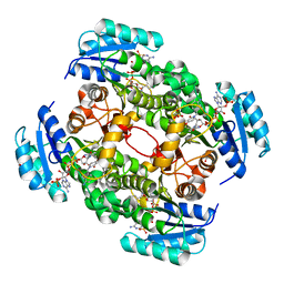 BU of 4cv0 by Molmil