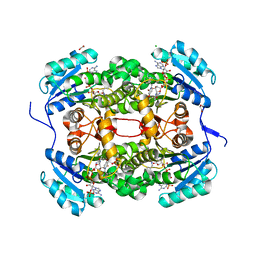 BU of 4cv1 by Molmil