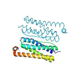 BU of 4cvr by Molmil