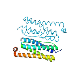 BU of 4cvt by Molmil